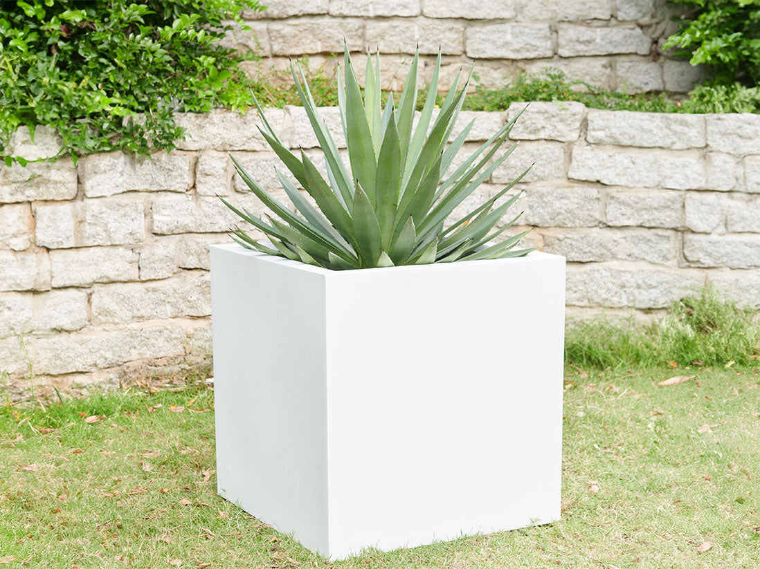 Cube Planter (Set of 4)