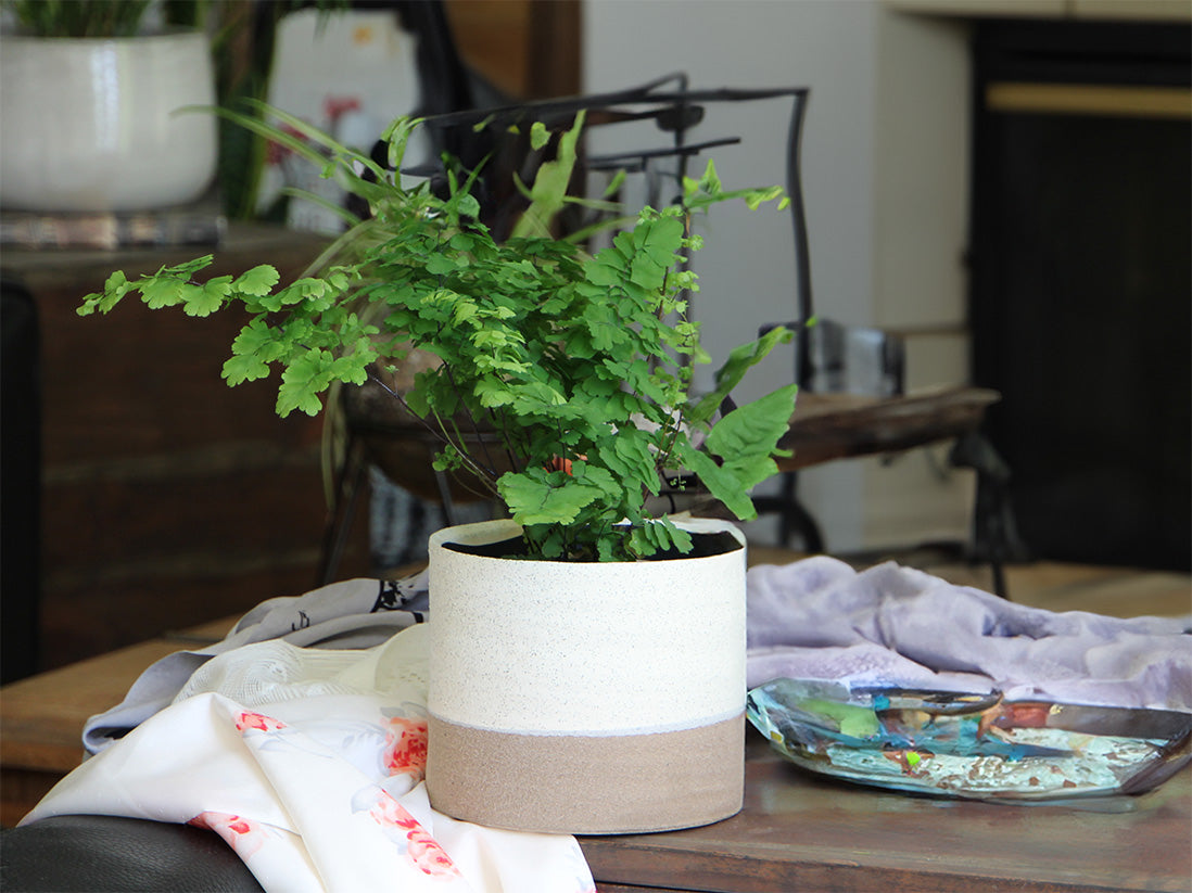 Jewel Mug Planter