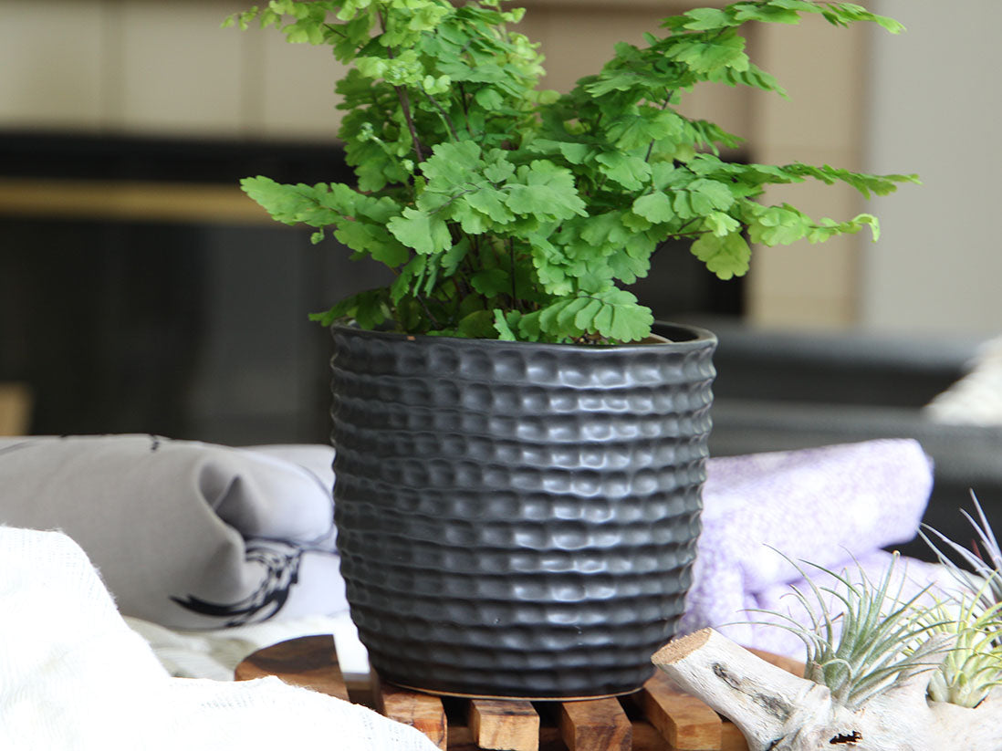 Honeycomb Planter (LARGE)