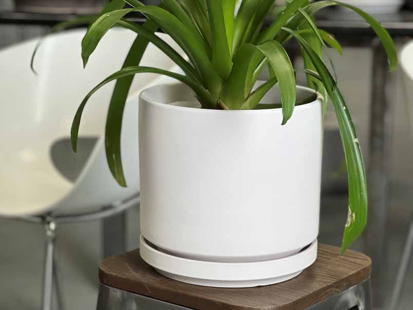 Mid Modern Planter With Detached Saucer