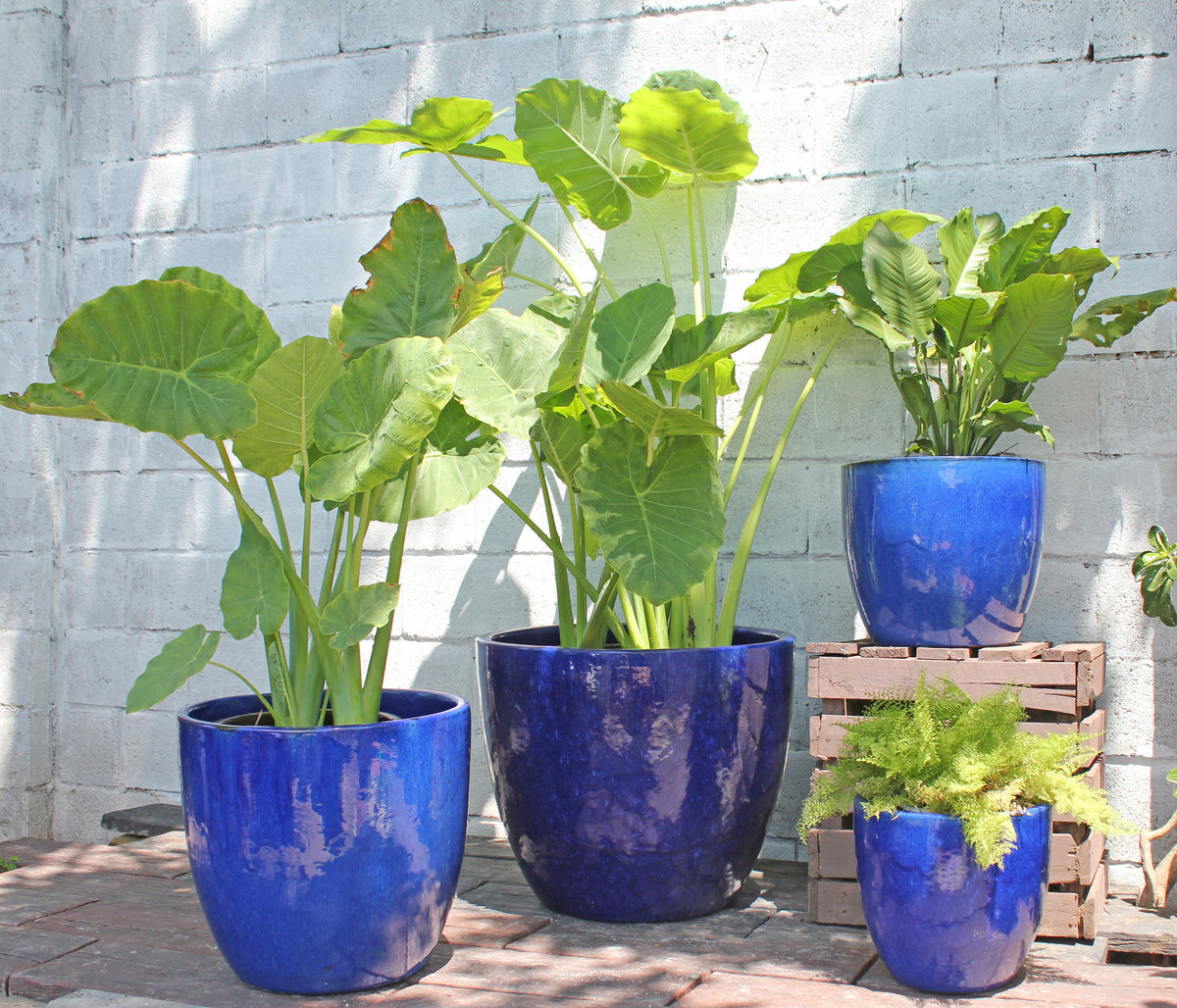 Large Coco Pot Coco Pots Glazed - Set of 4 – Pottery & Beyond