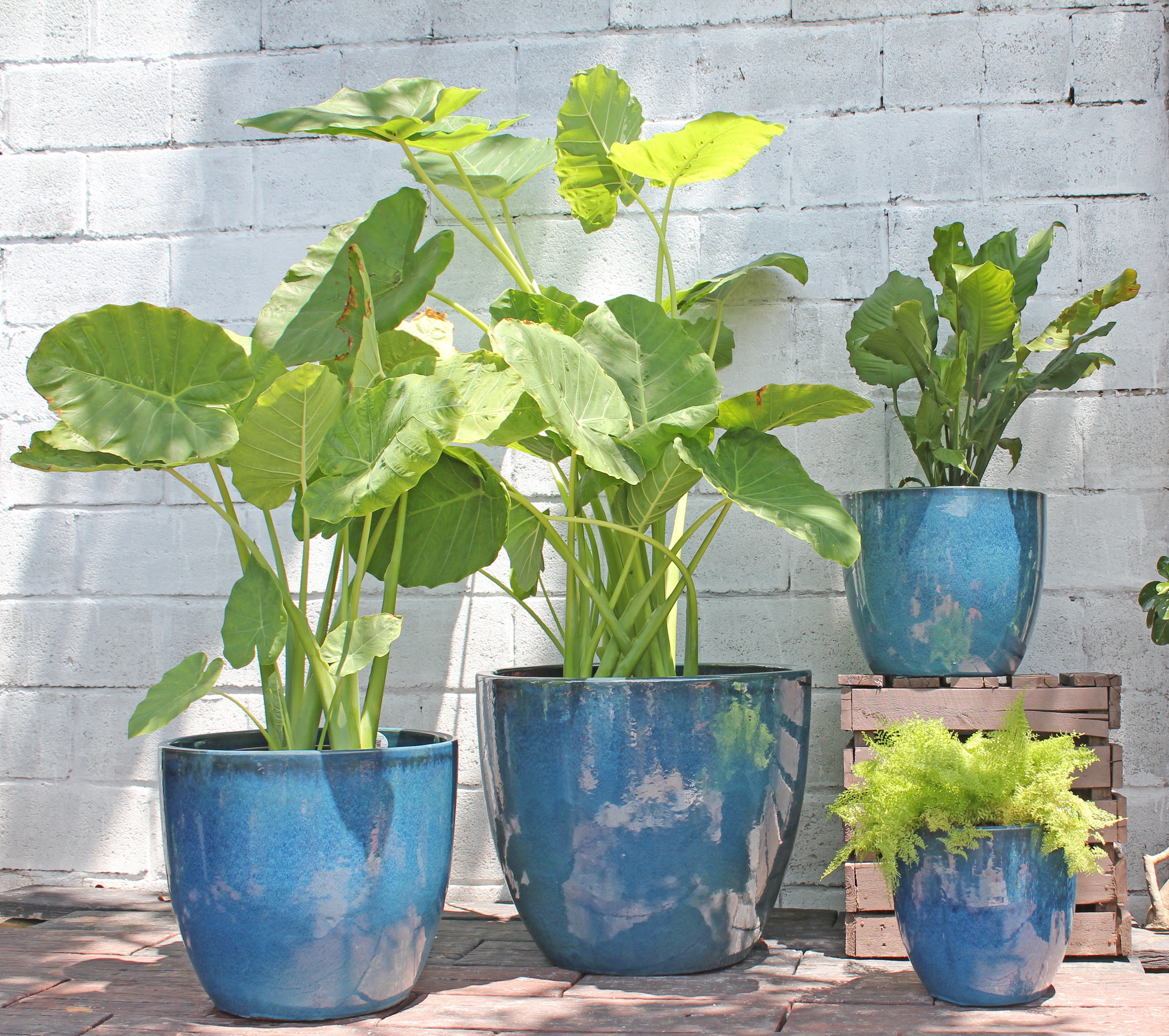 Large Coco Pot Coco Pots Glazed - Set of 4 – Pottery & Beyond